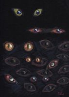 Eyes in the dark